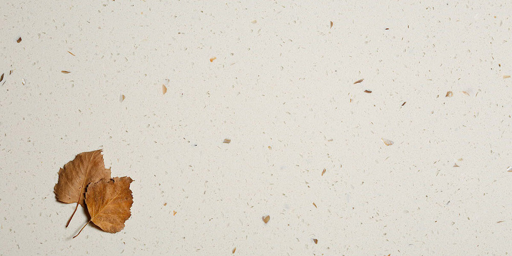 スプリングホワイト